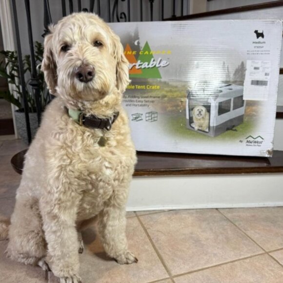 Unboxed Canine Camper Portable Dog Crate / Tent Crate/ Travel Medium - Picture 6 of 6